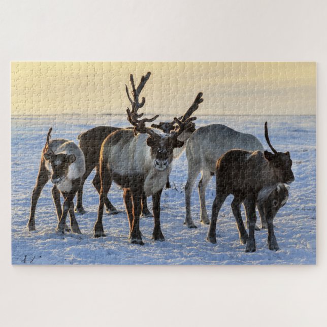 Reindeer Family in the Snow Puzzle (Horizontal)