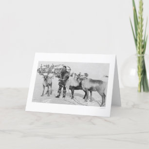 Reindeer Herd Alaska 1909 Feiertagskarte