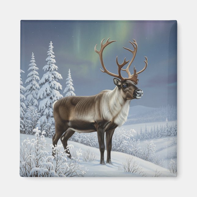 Reindeer in Lapland Finland Travel Magnet (Vorne)