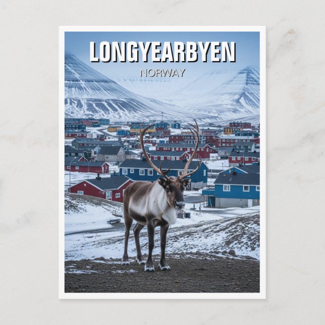Reindeer Longyearbyen Svalbard Norwegen Postkarte (Vorderseite)