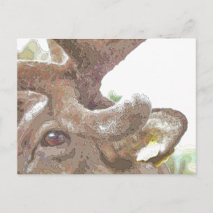 REINDEER POSTKARTE