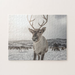 Reindeer Puzzle
