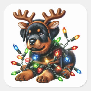Reindeer Rottie Rette Weihnachten! Quadratischer Aufkleber