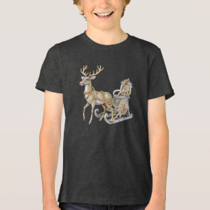 Reindeer Sleigh Boys T - Shirt