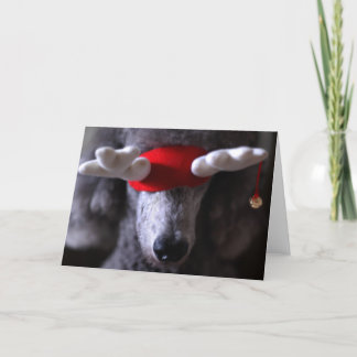 Reindoodle Feiertags-Karte I Feiertagskarte