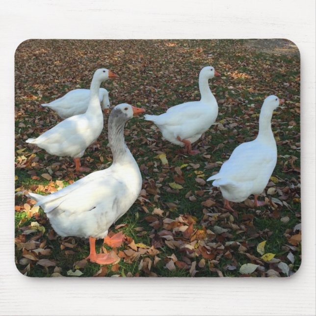 Reine Natur Mousepad (Vorne)