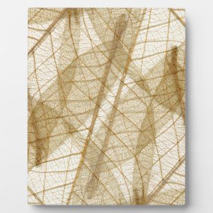 Reines Creme-Beige-Spitzenlaub Fotoplatte