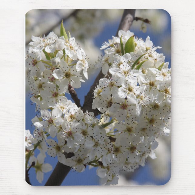 Reinheit Mousepad (Vorne)