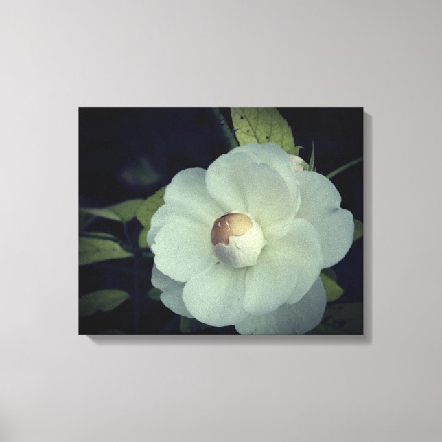 Reinheit, weiße Blume Leinwand (Vorderseite)
