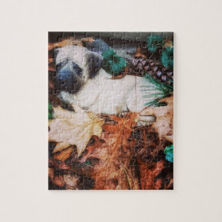 Reinigen Sie den Protector Puzzle