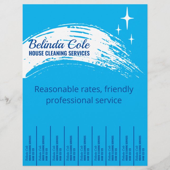 Reinigung des Haushaltshilfs Abziehen des Handwisc Flyer (Vorne)