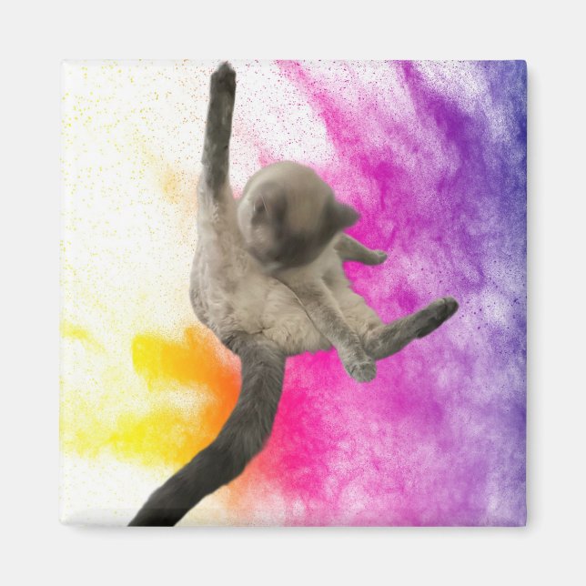 Reinigung Magnet (Vorne)