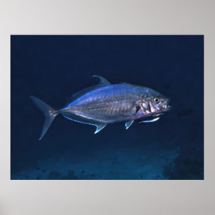 Reinigung von Jacken Poster