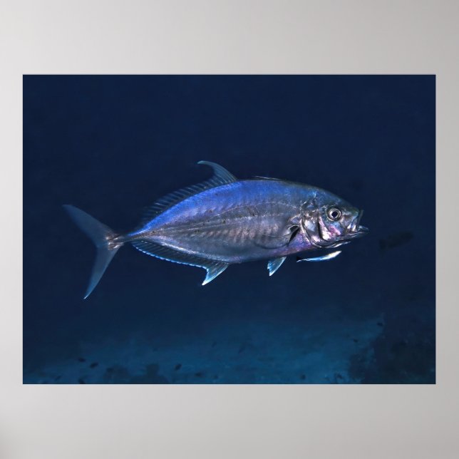 Reinigung von Jacken Poster (Vorne)