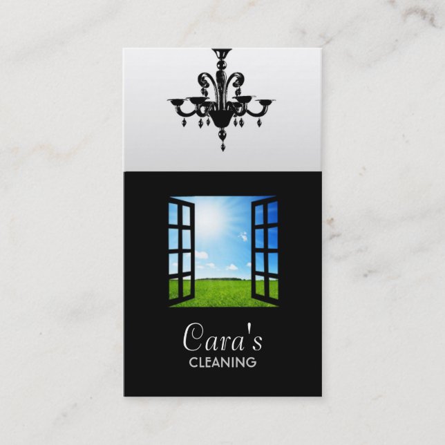 Reinigungs-Visitenkarten Visitenkarte (Vorderseite)