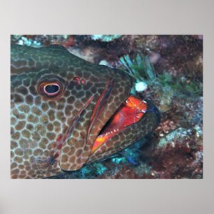 Reinigungsservice Poster