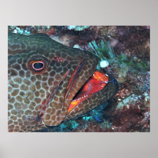 Reinigungsservice Poster (Vorne)