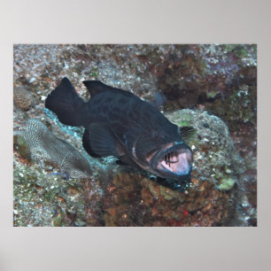 Reinigungsstation Poster