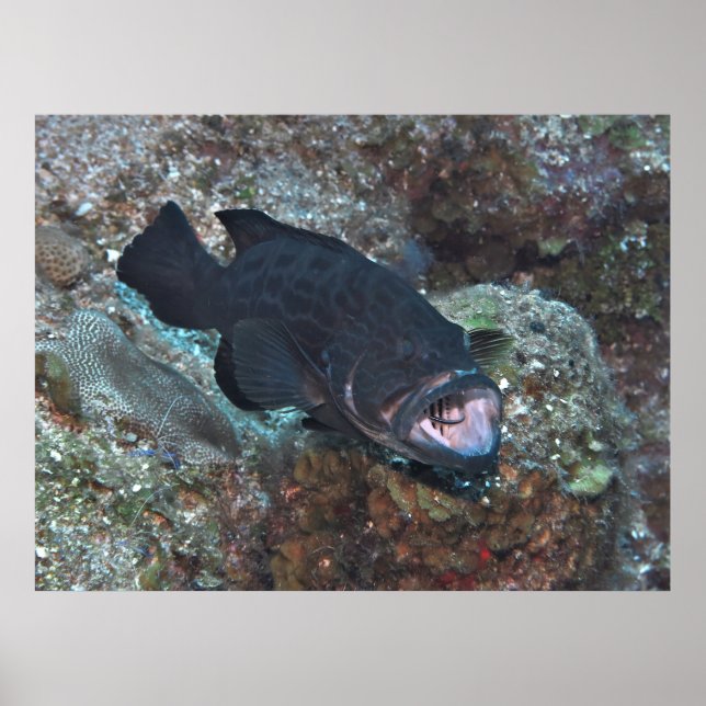 Reinigungsstation Poster (Vorne)