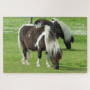 Reinrassige Shetland Paint Ponys Puzzle