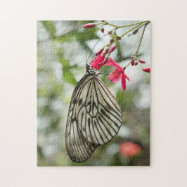 Reis-Papierschmetterling, Papierdrachen, Idee Puzzle