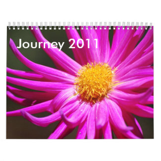 Reise 2011 kalender