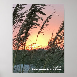 Reise- Florida - Anastasia Sea Oat Sunset Poster