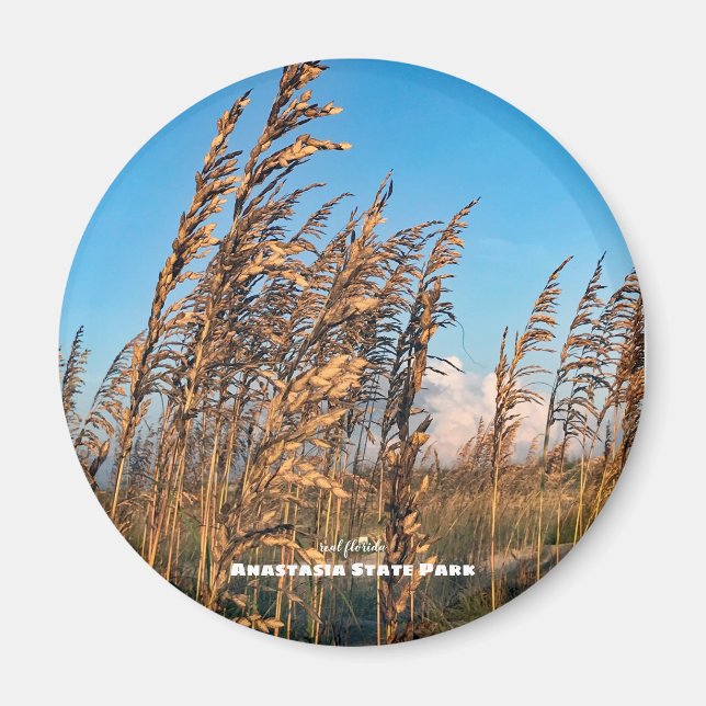 Reise-  | Florida - Anastasia St Park Sea Oats Magnet (Vorne)