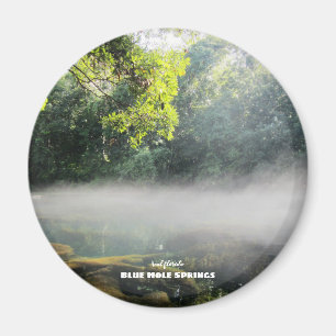 Reise-    Florida - Blaue Nadelspinge Foggy Mornin Magnet