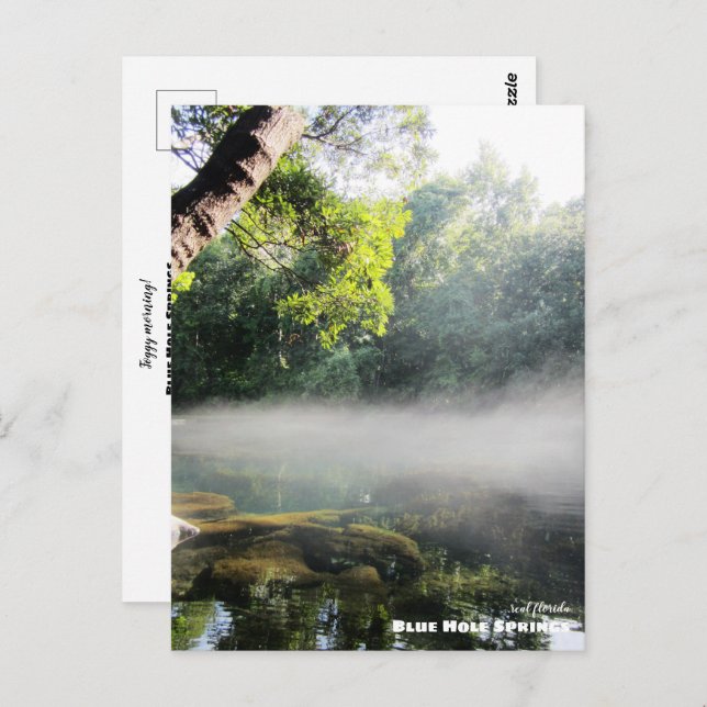Reise-  | Florida - Blaue Nadelspinge Foggy Mornin Postkarte (Vorne/Hinten)