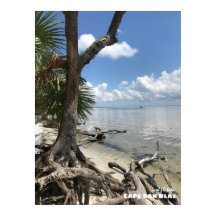 Reise- | Florida - Cape San Blas Beach