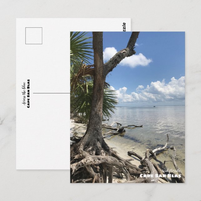 Reise-  | Florida - Cape San Blas Beach Postkarte (Vorne/Hinten)