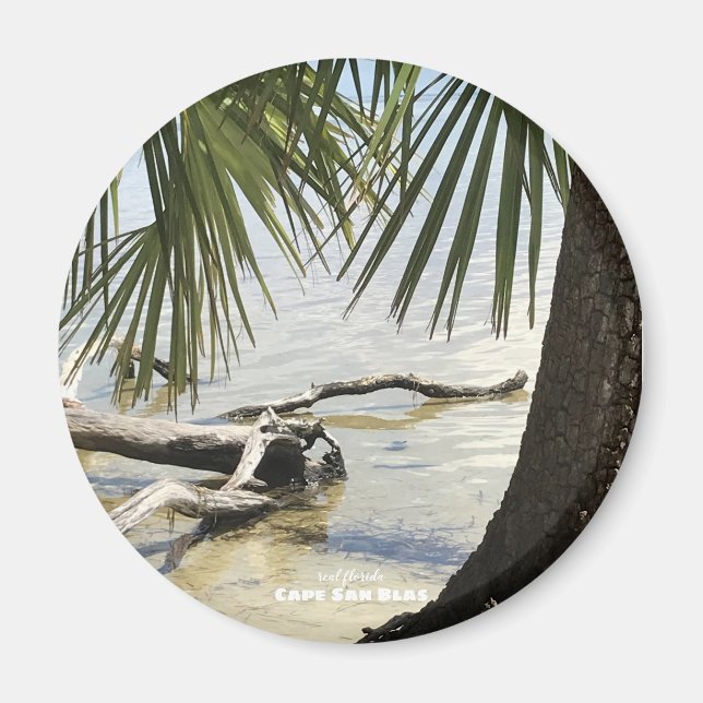 Reise-  | Florida - Cape San Blas Driftwood Beach Magnet (Vorne)