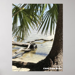 Reise- | Florida - Cape San Blas Driftwood Poster