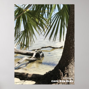 Reise-    Florida - Cape San Blas Driftwood Poster