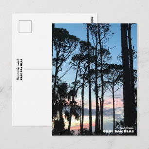 Reise-    Florida - Cape San Blas Pines Sunset Postkarte