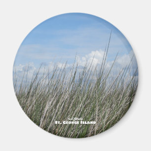 Reise-    Florida - St. George Island Sea Grass Magnet