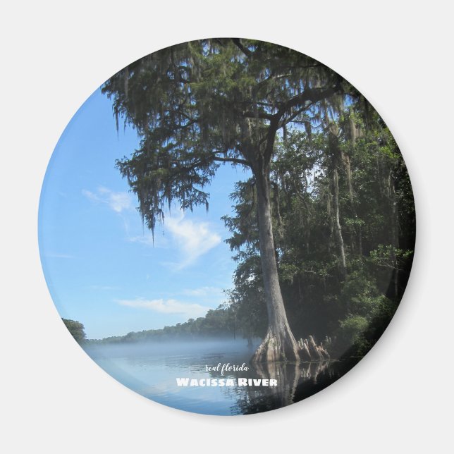 Reise-  | Florida - Wacissa River Cypress Magnet (Vorne)