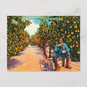 Reise in die Vintage-Zeit unter den Orangenhainen  Postkarte