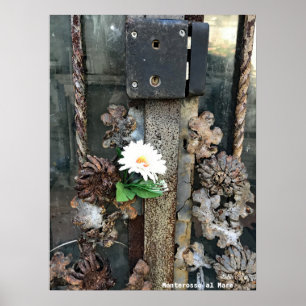 Reise-    Italien - Alte Schleuse Monterosso al Ma Poster