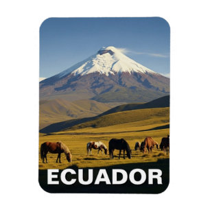 Reise nach Ecuador Cotopaxi Nationalpark Magnet