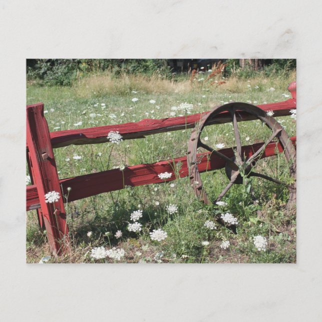 Reise-  postkarte (Vorderseite)