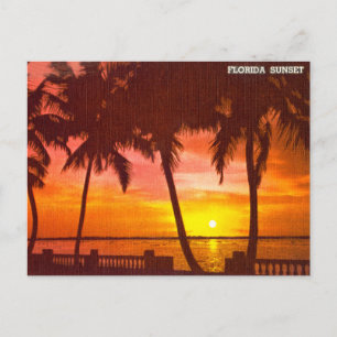 Reise-Postkarte vintage Florida Sonnenuntergang Postkarte