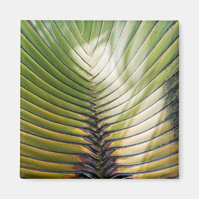 Reisebaum- Guadeloupe Magnet (Vorne)