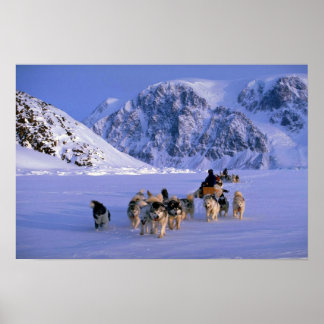 Reisen, Ellesmere Island Poster