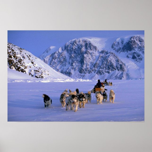 Reisen, Ellesmere Island Poster (Vorne)