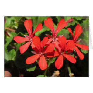 Reisen in Norditalien