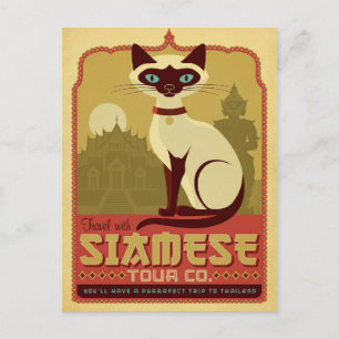 Reisen Sie mit der Siamese Tour Co. Postkarte