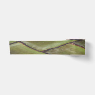 Reisende Palm Ribbon Satinband