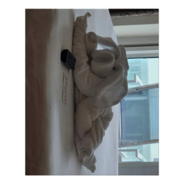 Reisende Schweinetüchertiere Poster